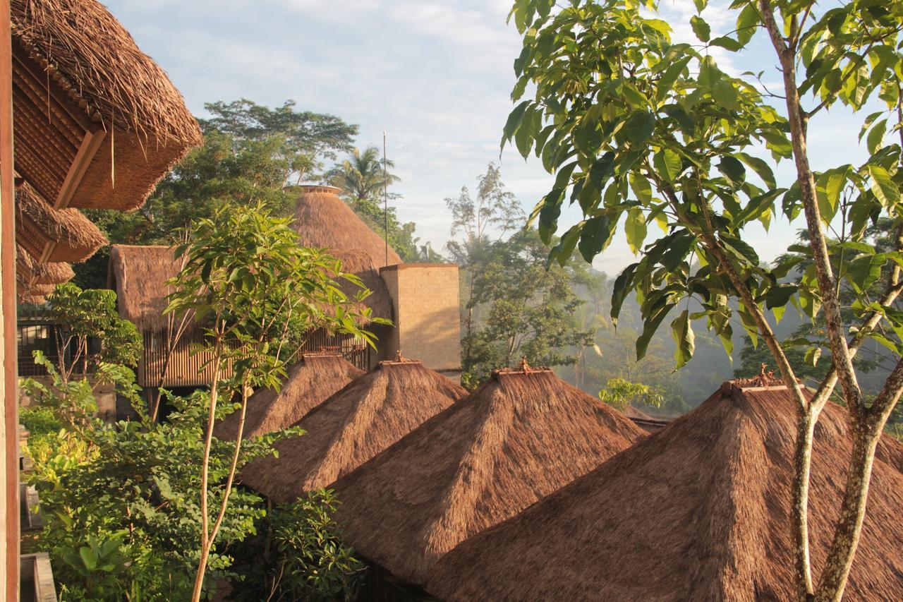 Tejaprana Resort&Spa - CHSE Certified Ubud Exterior foto The resort's villas