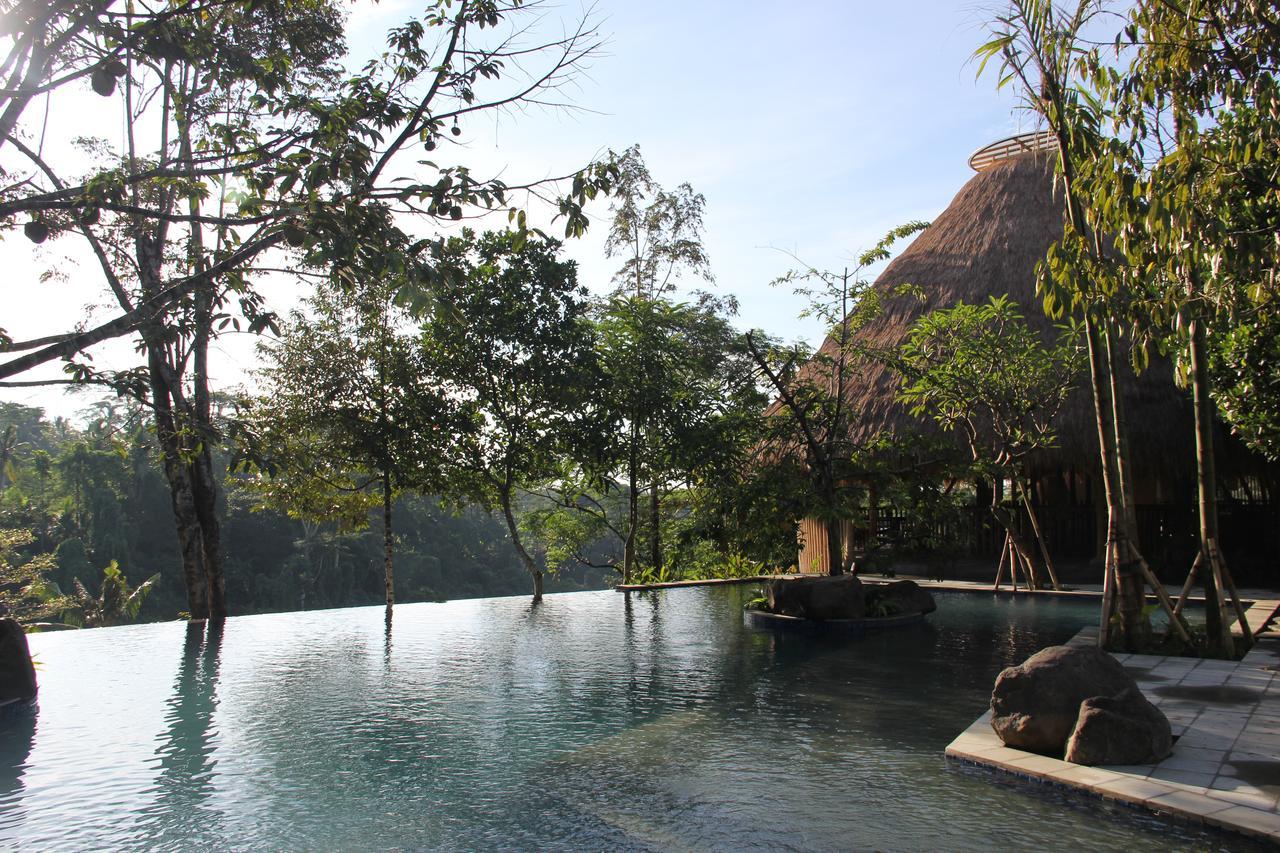 Tejaprana Resort&Spa - CHSE Certified Ubud Exterior foto The resort's swimming pool