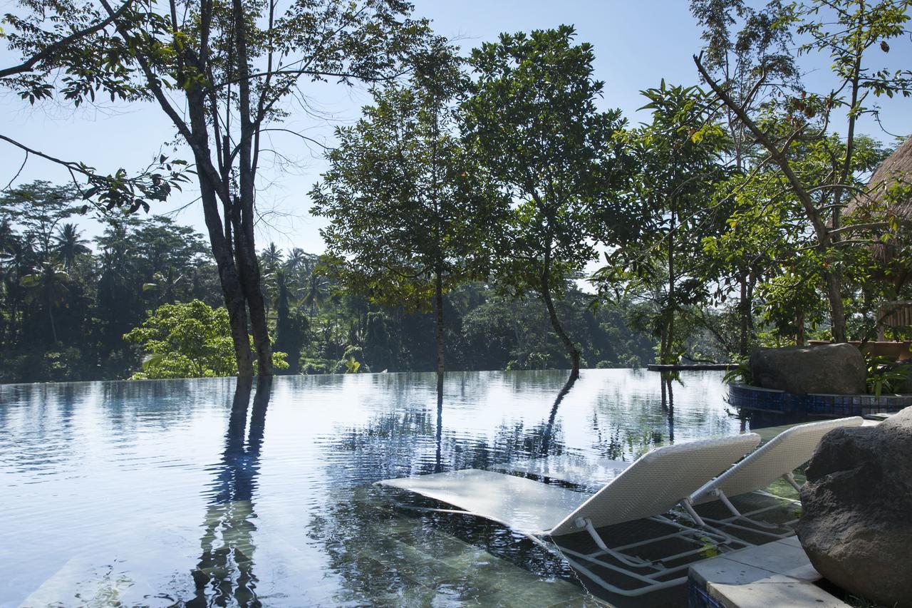 Tejaprana Resort&Spa - CHSE Certified Ubud Exterior foto The flooded park