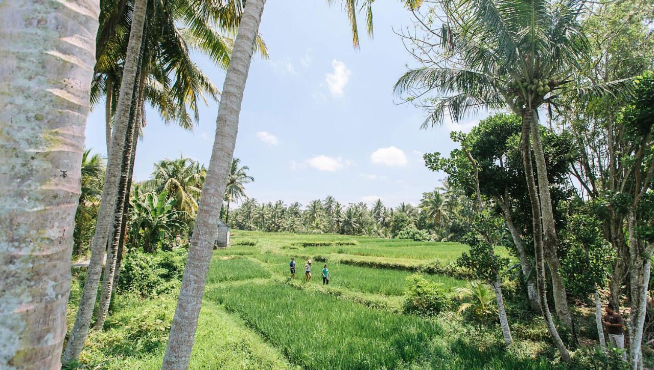 Tejaprana Resort&Spa - CHSE Certified Ubud Exterior foto A paddy field in Sri Lanka